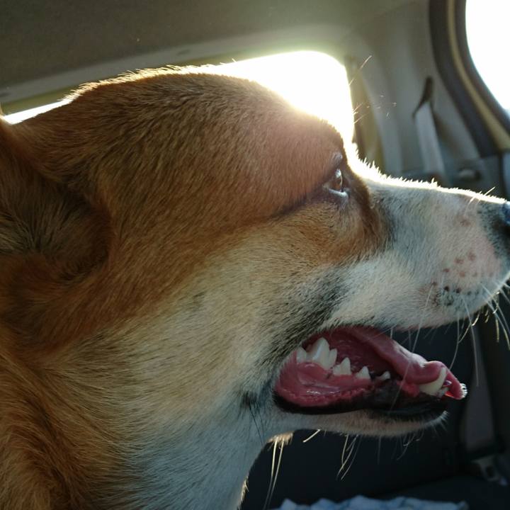 74c117e7 dad5 461f b02e b4c4e326f6a6 1574144658439