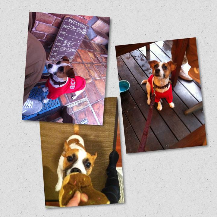 74c12607 d857 413d b826 8145e3537e73 1667787233584