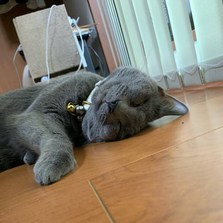 74c13437 7bae 4b8b 9f9c 1d57435c49ab 1659921078279