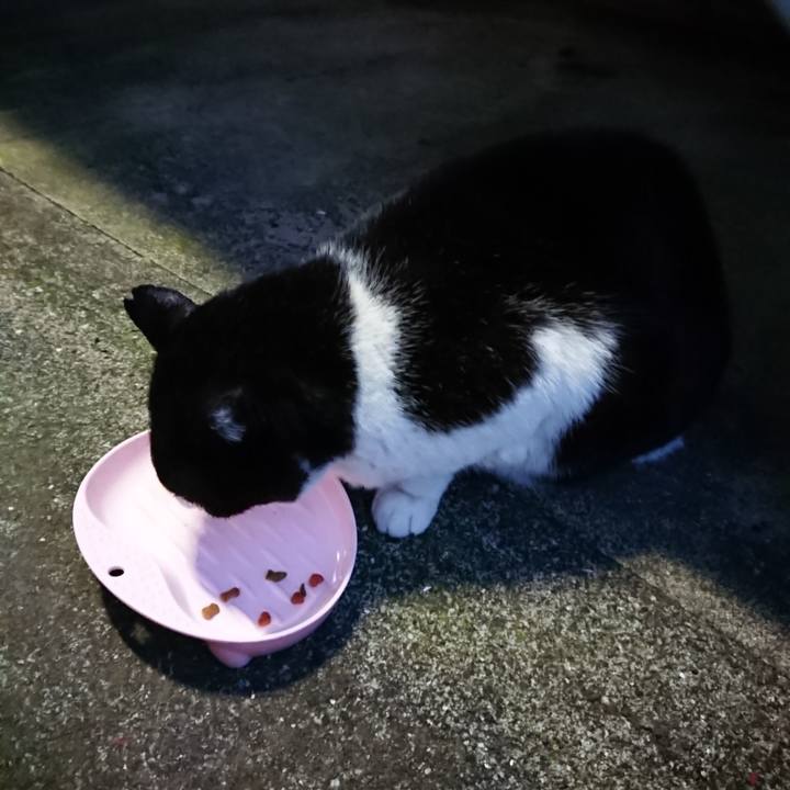 74c16589 8e98 4614 a05e 13c87c65a2c5 1671615130839