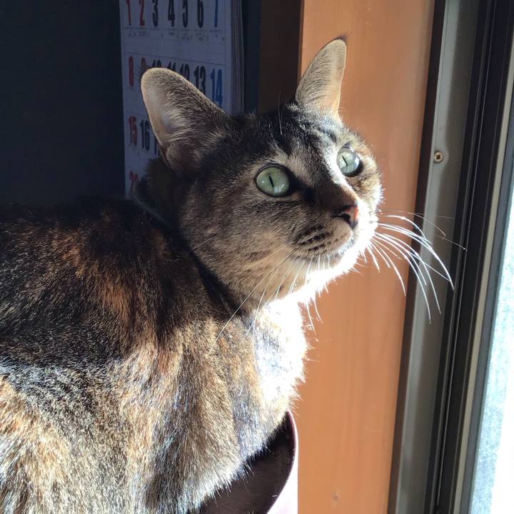 74c1701f f4aa 42cc a087 85ab2a843942 1674642947514