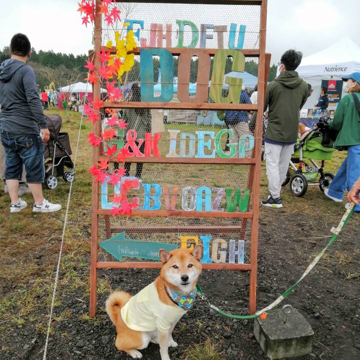 74c17464 1a3c 4ce5 b353 4e75d8d28f35 1633872733561