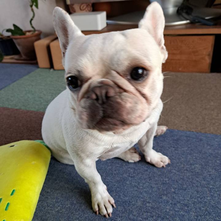 74c18276 7415 4d97 ad34 df7d5b772d0b 1690071004452