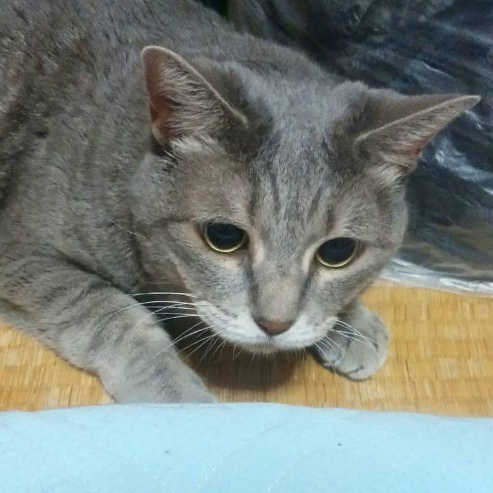 74c1a3b8 0ab2 4fec 9f1b 1b61163b85af 1533223563310