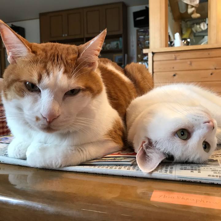 74c1a89b 2401 4b39 b93b 277fe00706ae 1599346510832