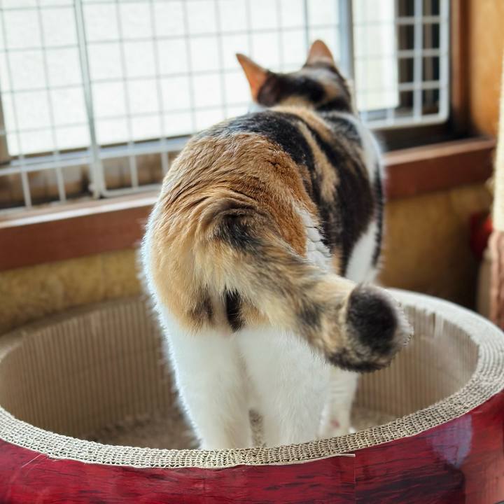 74c1d476 6292 4b5d 88dc 3ebf5b3a0de3 1688956689899