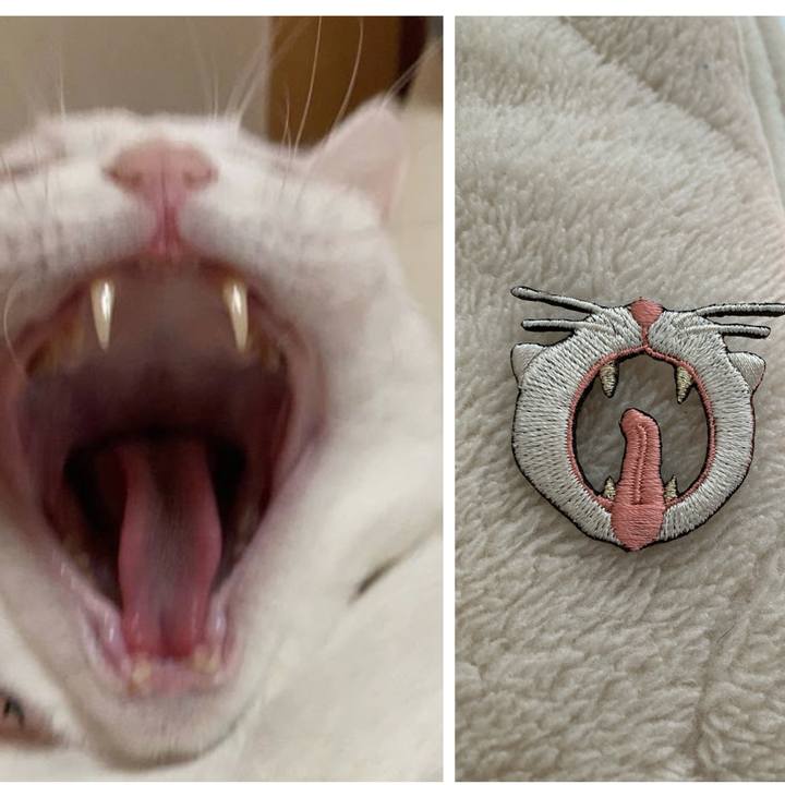 74c202bd 6647 404d abfd 5eeb922367f6 1705719154775