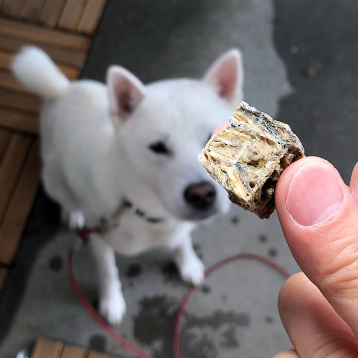 74c21445 63cc 4886 bd4c ae21c25c6585 1552350321818