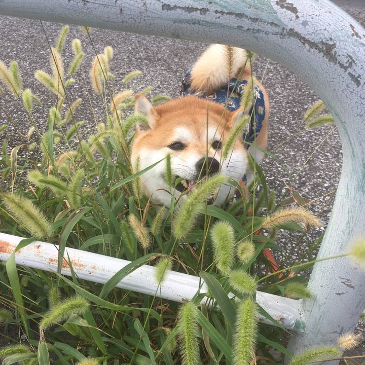 74c231f1 0810 4b16 85d1 0c4f3804d84e 1565740278941