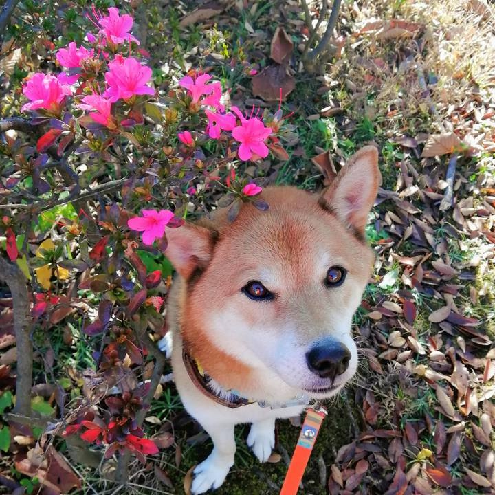 74c267ae 5b32 49b3 a8f6 526433e705b5 1636714405985