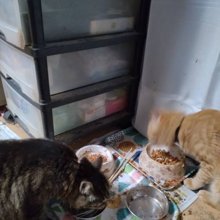 74c26815 1313 44e4 a217 9207cbd95c74 1686046738143