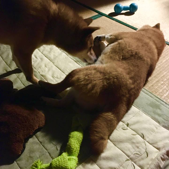 74c2db03 a0fe 4992 851e 8102c6874456 1628957752373