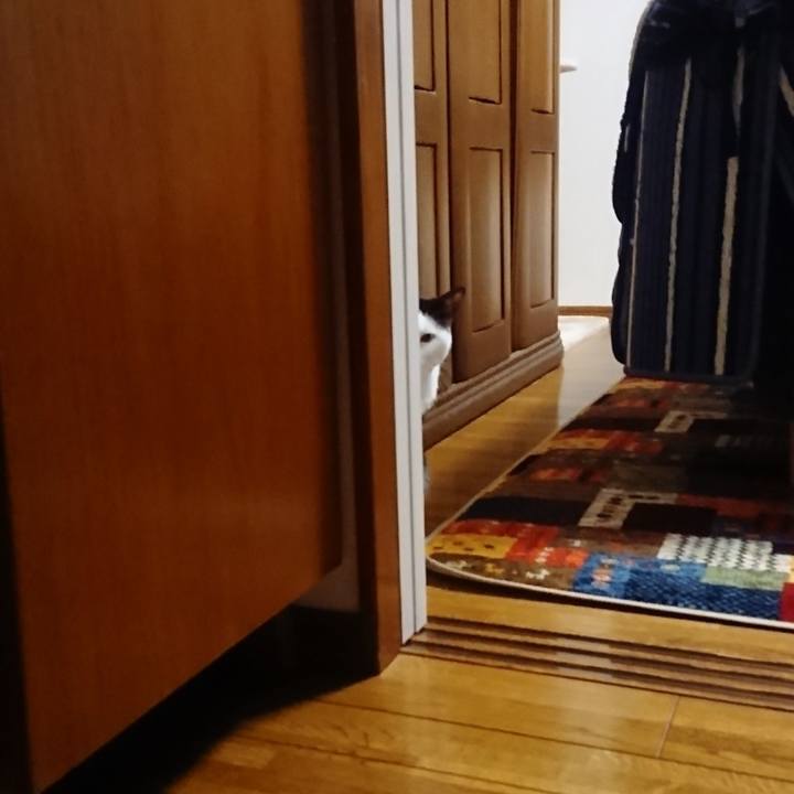 74c2e2e9 ecd3 42d7 a73e 94873222818a 1578921460396