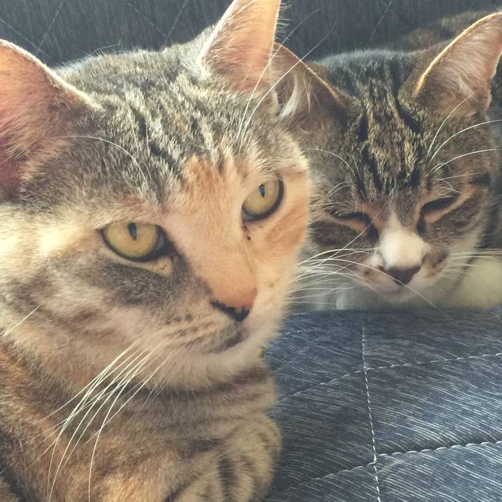 74c2f4da 266c 4973 8f0a 20dcd9aee01f 1559373427655