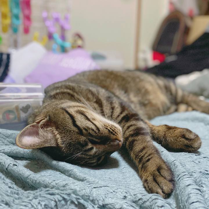 74c2fa36 68a5 4e99 98b7 b6f37e88aee2 1589727902142