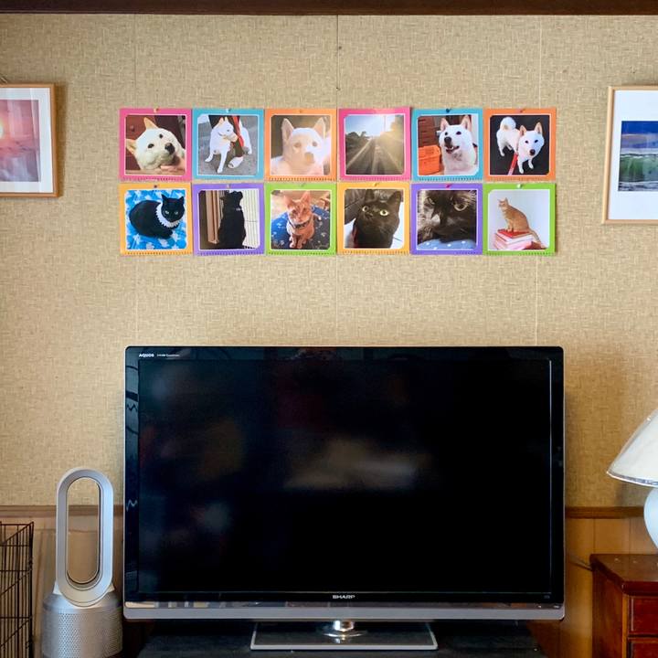 74c333c1 c0f6 4dec a799 21e70f9f93cf 1577491000527