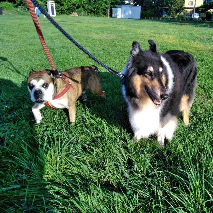 74c35d0d 10e9 4e3c 8639 d902330b9370 1567781380071