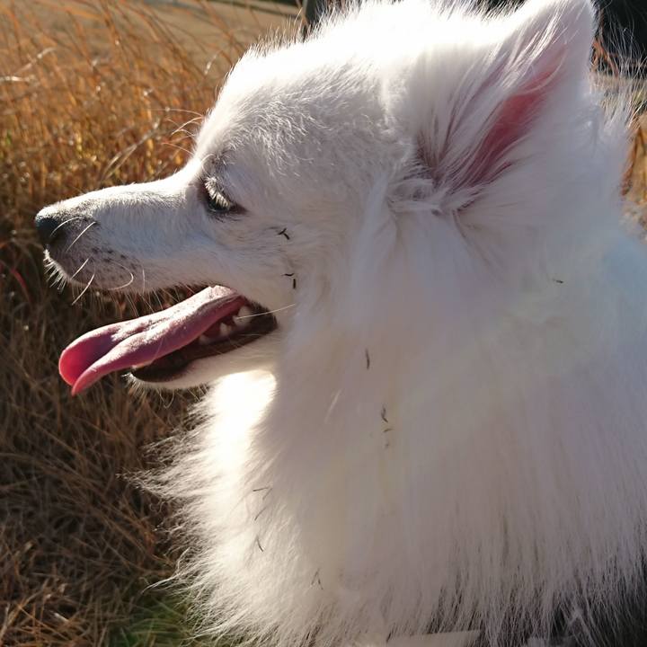 74c3a2b0 d8b7 4895 83ff b9e038099407 1579072510957