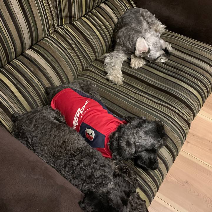 74c3b090 fa73 4dc7 921e 48aa4e16cf63 1605270227205