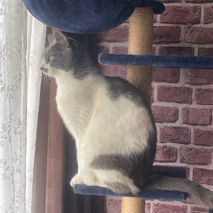 74c3bc3e bf2c 4af8 9562 ad863a56488a 1746659429046