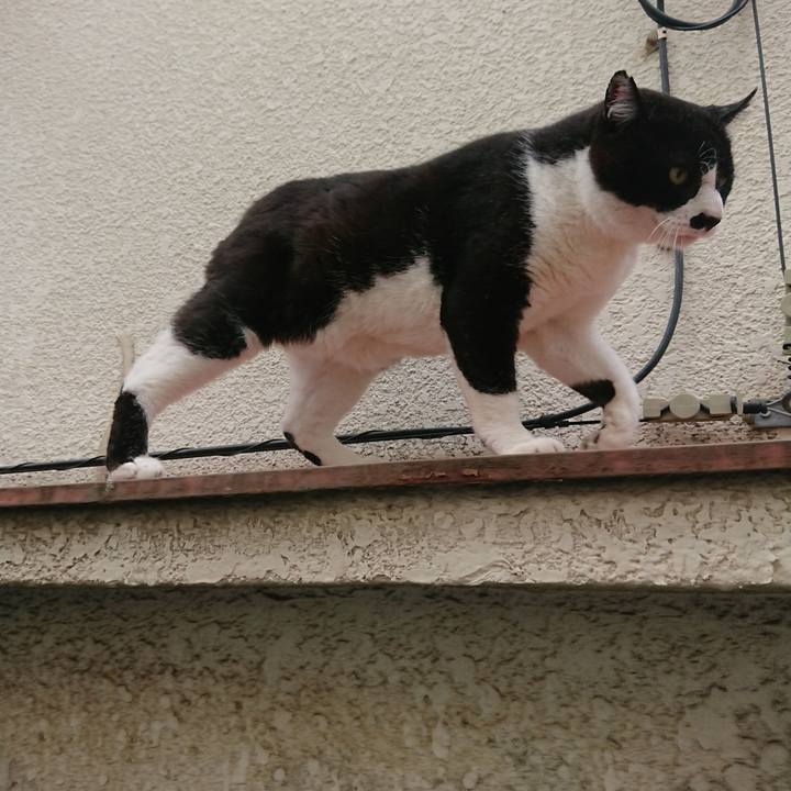 74c3cbb0 d00f 48c5 aeaf 9deafbf1069b 1529218549365