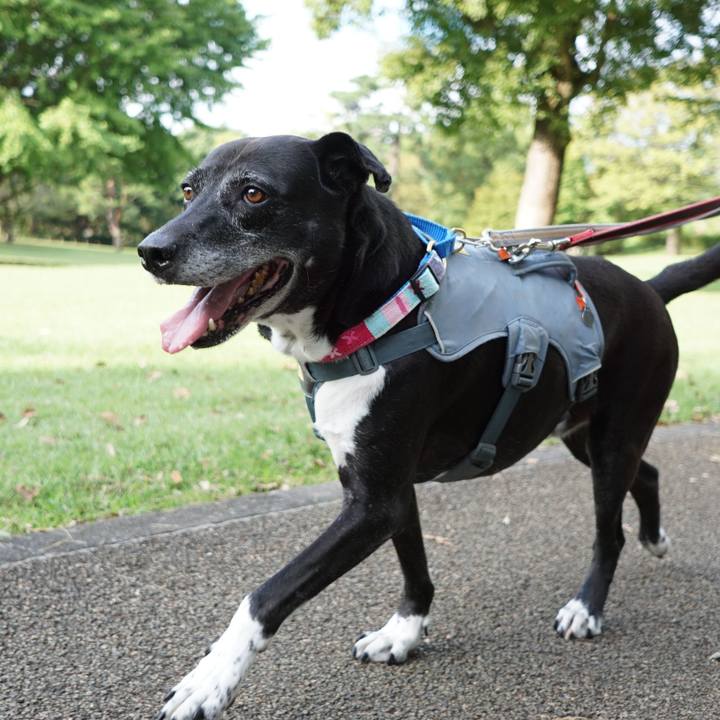 74c49966 cc77 4582 828a 92f52c38844d 1759711572308