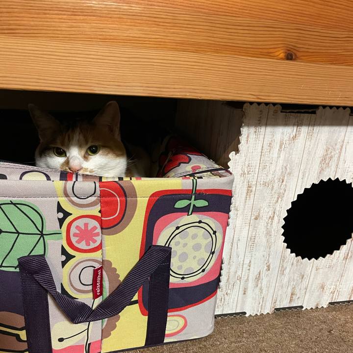 74c4f2f9 8c1c 4f96 b8b1 0c9145b5aafc 1651487444304