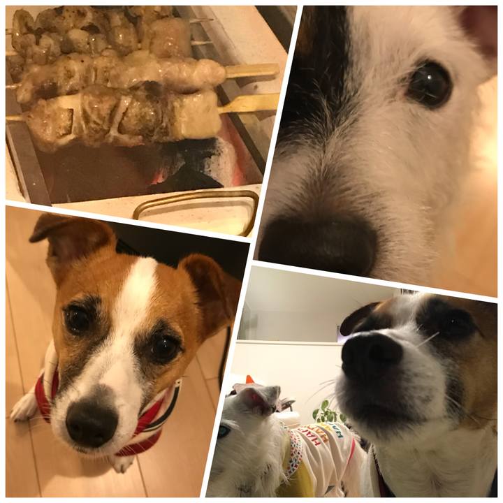 74c4f4c2 0781 4003 8fdf fdfcb4acf83a 1509793376111