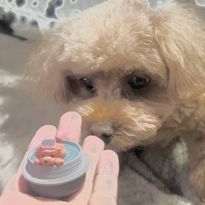 74c50a0b 3c11 4589 8f91 a35eb307ac21 1708839282919