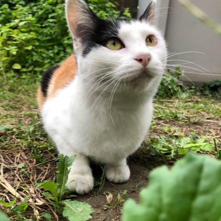 74c521c4 ad37 41a5 8fe7 520c8bb34bdb 1601071807179