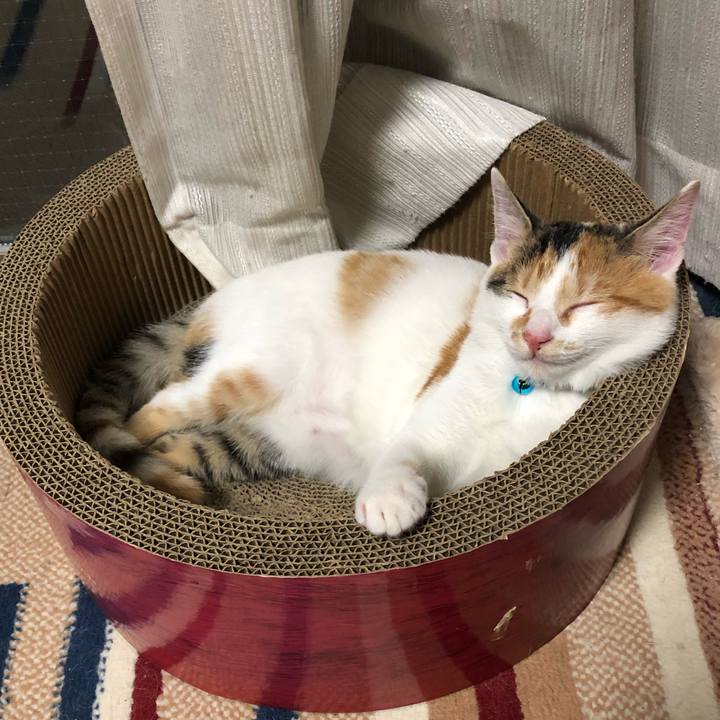 74c5324b eee2 4e05 9eb8 c24fab2962f4 1566737581091