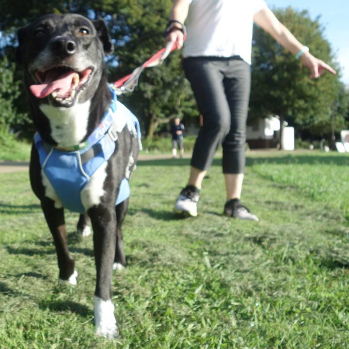 74c5646c 4c22 4697 b278 db66fc2a44b6 1693354605040