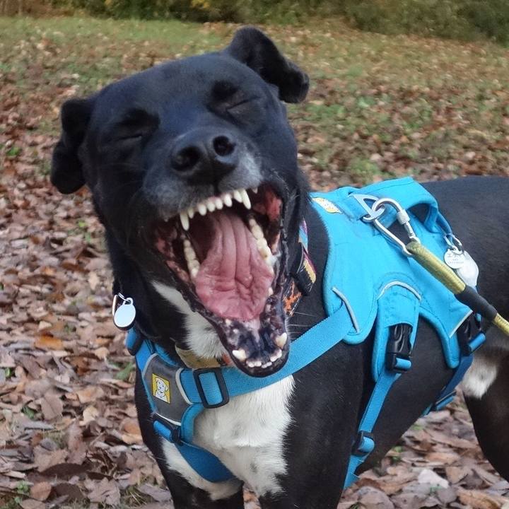 74c571ba 252f 4071 922e 936869a68a35 1607904677299