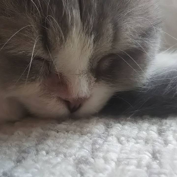 74c588b2 df03 4d95 a24e 5f1bdba1d81e 1631051990549