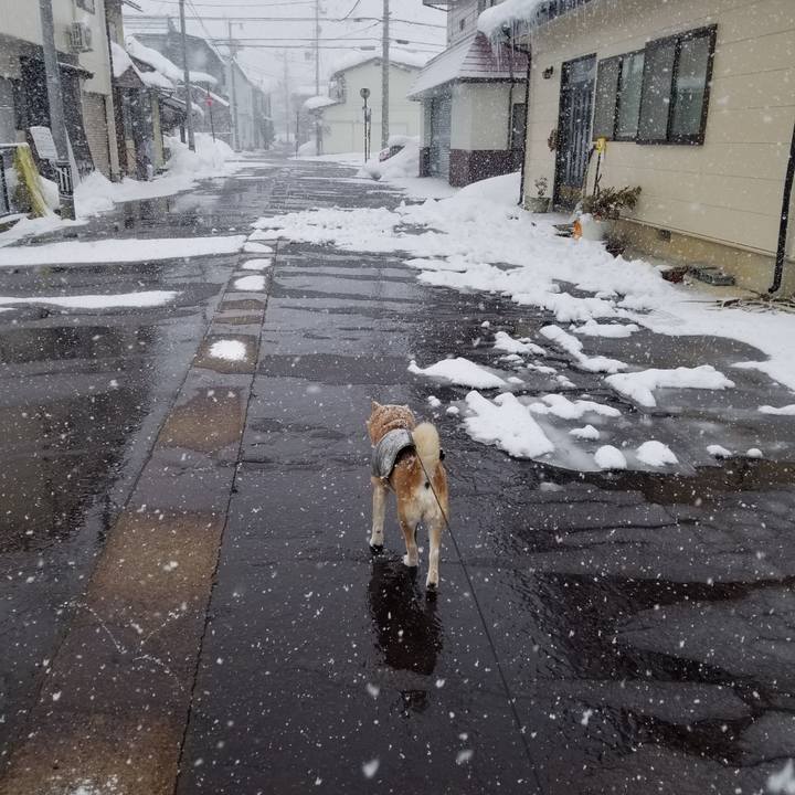 74c5e198 2082 4938 b3d4 82ba9e4162a0 1740194204873