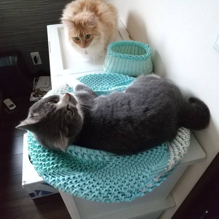 74c64d8a b523 4afd bfa8 bbd956689f55 1651021831610