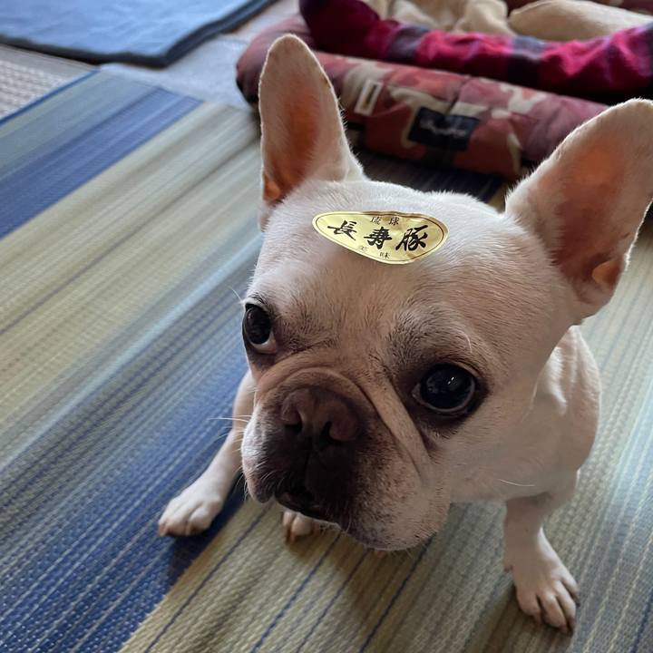 74c65bda 6eee 4510 8f03 a41f884351bb 1753570969040