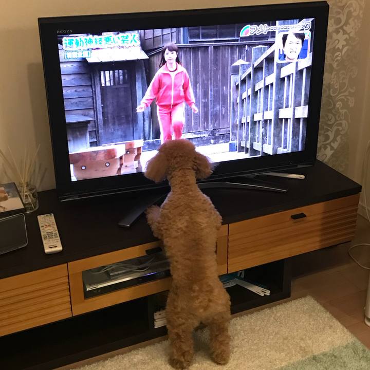 74c684c0 8252 495c ac6a 6c9461a44c81 1514633785054