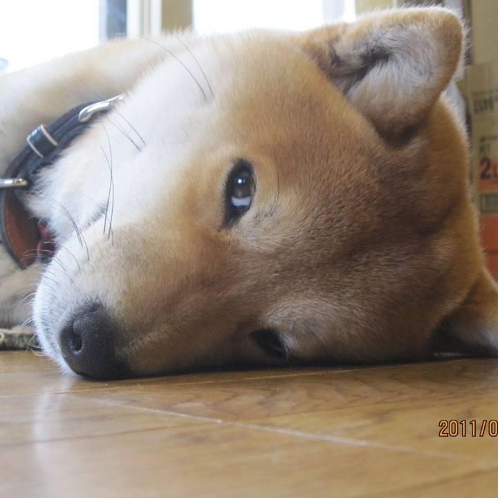 74c6ab77 6b9d 469a aaaa a18f4257d896 1567821337571