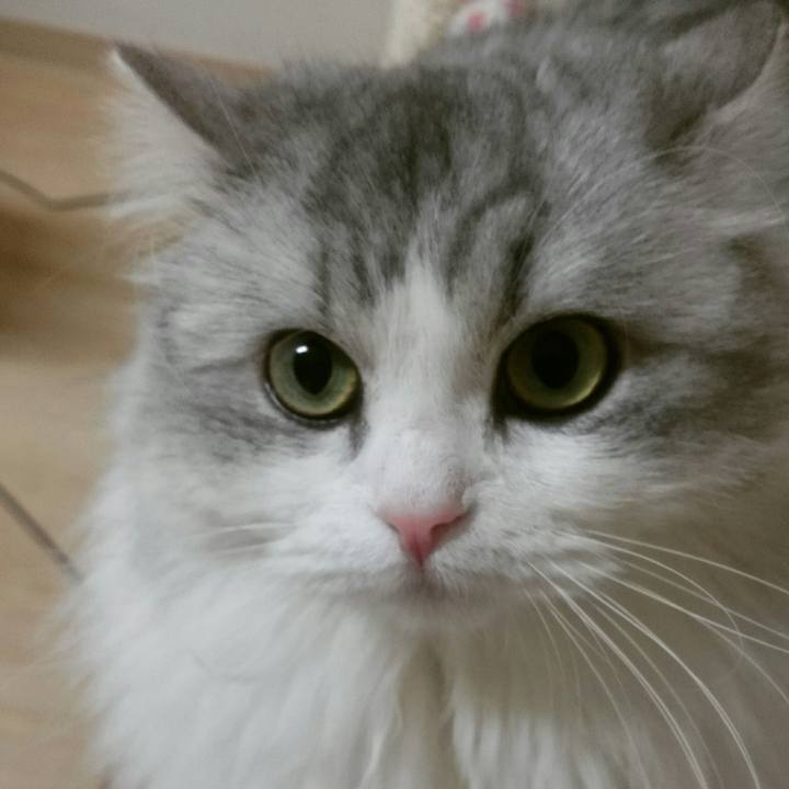 74c6c070 26dd 4207 9b4c 4ae19f6e41fa 1519308817250