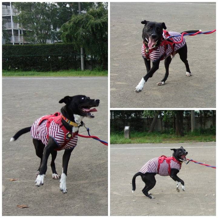 74c6c2d2 d74b 417b a7e3 c451ed3ebdb3 1596798822704