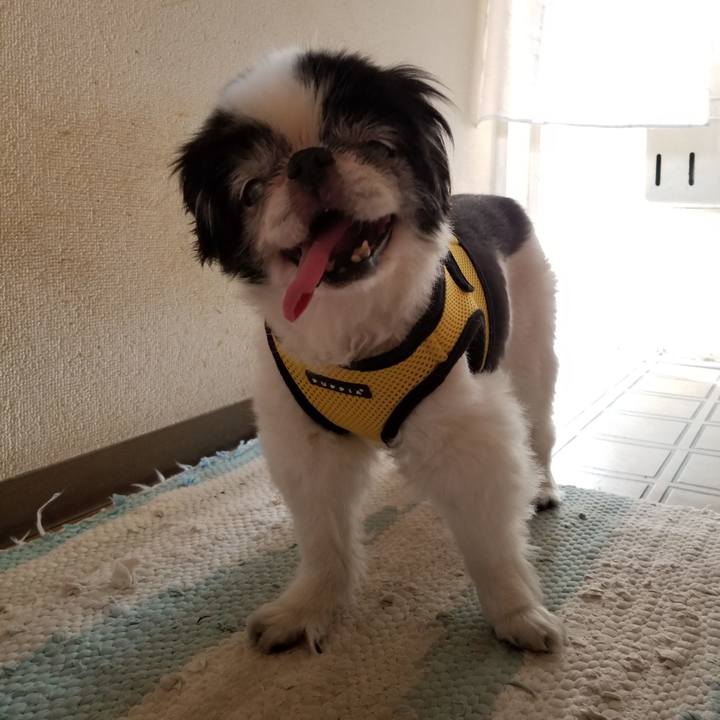 74c6eba0 ed90 4cf4 900a 7eeb27fe7169 1623573297751