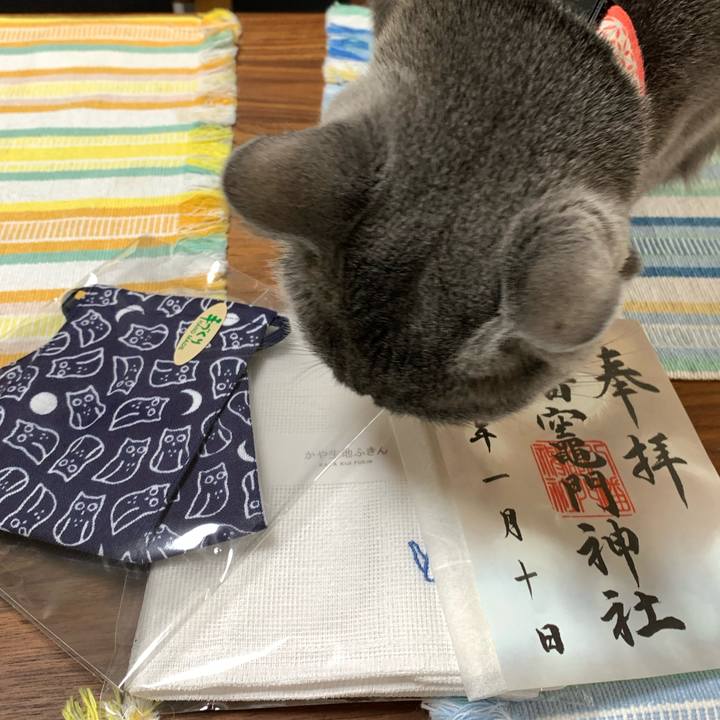 74c6f447 4d69 4990 a960 2518d808882c 1610781888927