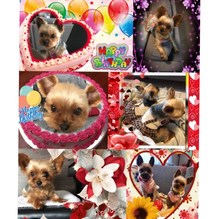 74c6fb28 a145 4a24 95fe 06f9608bb4db 1552421119380