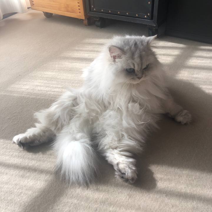 74c7636a b803 4c9b ae3d e2874b7ef886 1576060319841