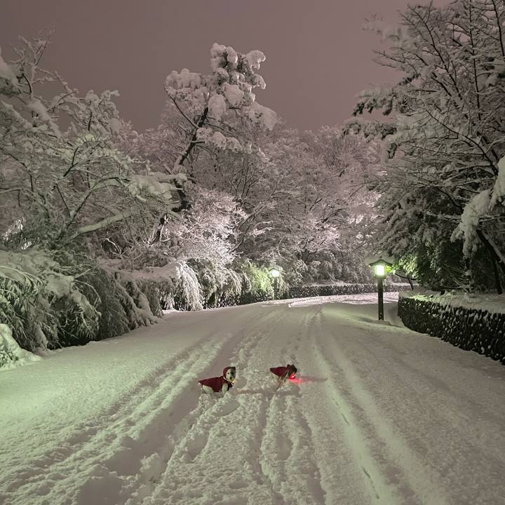 74c76fd8 1671 4285 b933 0090d2299889 1671439219313