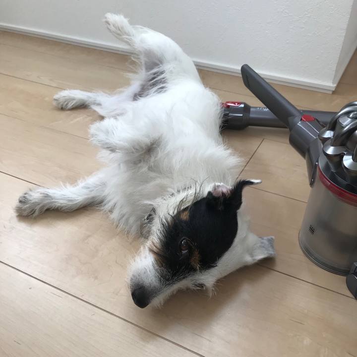 74c7aac6 c09e 42f0 8893 7731e1a5c030 1534733699525