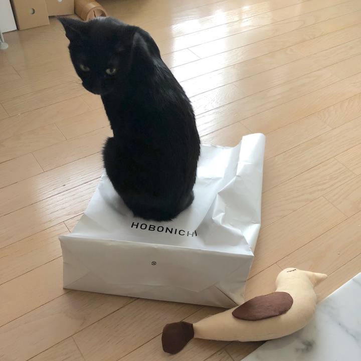 74c7b595 82d3 4c6b a93e 6a1c10f2e201 1536561826048