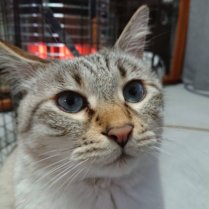 74c7ce1a c1bd 4fae 92cc 071717491b84 1611226063579