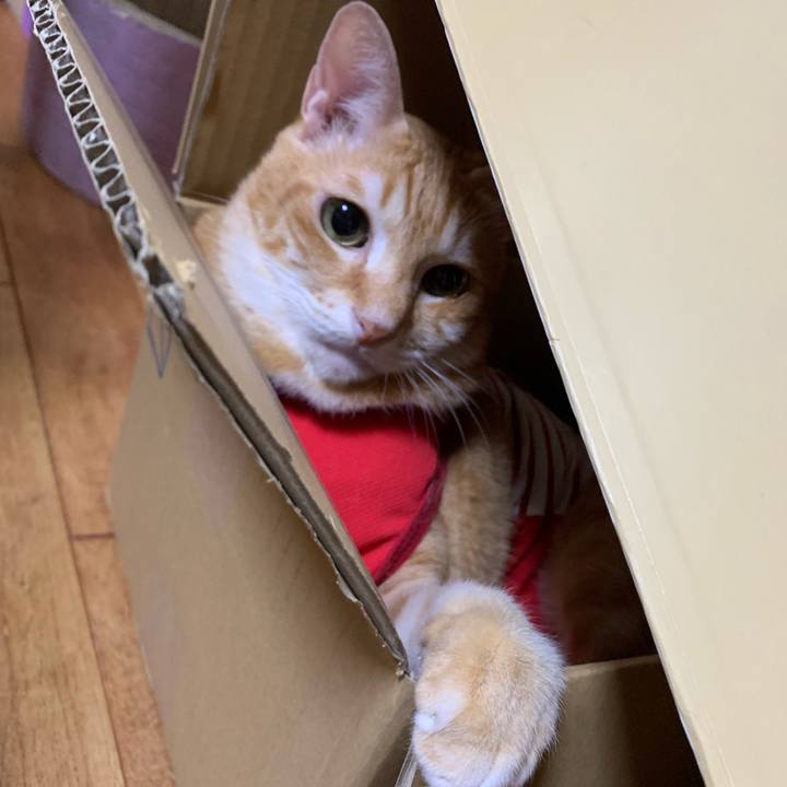 74c7e844 4ceb 44ed 9d1d 6a9ce25acbbd 1593743976323